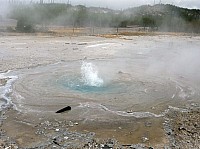 Yellowstone Norris Geyser (73).JPG